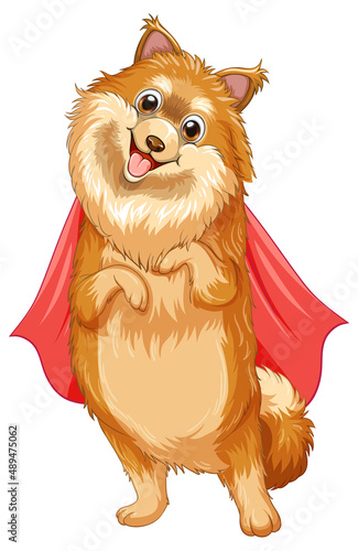 A dog superhero on white background