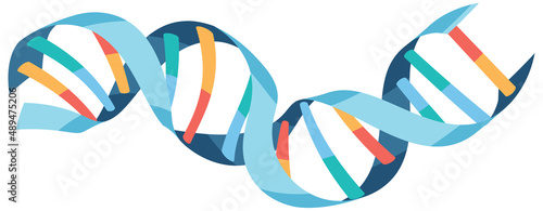 DNA helix symbol isolated on white background
