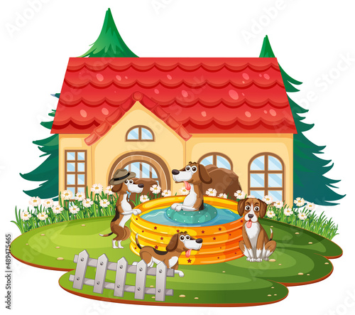 Many dogs playing outside the doghouse