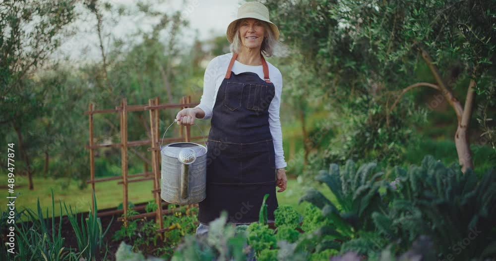 Portrait of mature retired woman gardening, watering her plants and tending the garden Portrait of mature retired woman gardening, watering her plants and tending the garden