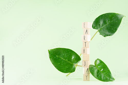Young green wet leaves with lettering on wood cubes - "Earth day" on pastel green backdrop. Earth day background. © finepoints
