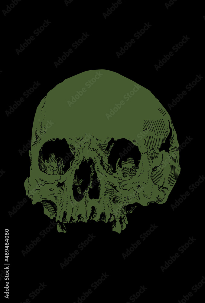 Skull artwork detail illustration Skull artwork detail illustration