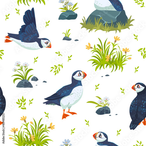 puffins pattern