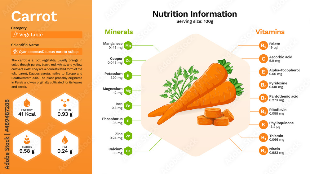 Carrot vegetable and its nutritional properties Infographics Design