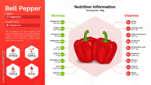 Fototapeta Naklejka Na Ścianę i Meble -  Red Bell Pepper vegetable and its nutritional properties -  Infographics Design