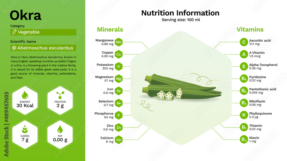 Okra and its nutritional properties Infographics Design Stock