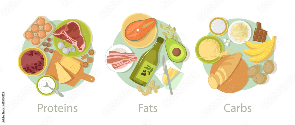 Carbohydrate, protein and fat food set. Vector illustrations of nutrition categories. Cartoon carb fibers in grains, cereal bread, energy meals of meat and eggs isolated on white. Complex diet concept Carbohydrate, protein and fat food set. Vector illustrations of nutrition categories. Cartoon carb fibers in grains, cereal bread, energy meals of meat and eggs isolated on white. Complex diet concept