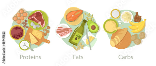 Carbohydrate, protein and fat food set. Vector illustrations of nutrition categories. Cartoon carb fibers in grains, cereal bread, energy meals of meat and eggs isolated on white. Complex diet concept photo
