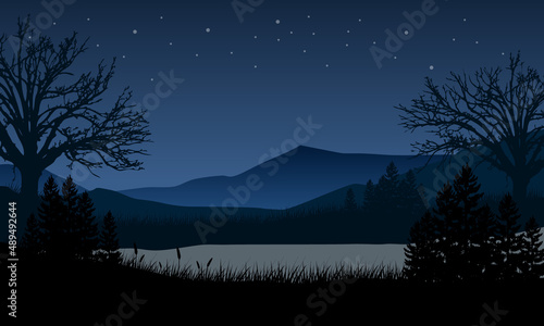 Mountain panorama with dry tree silhouettes is very aesthetic at night from the riverside