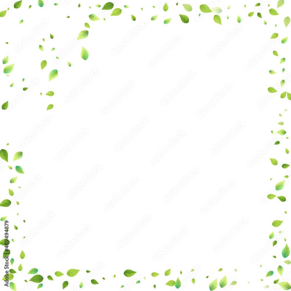 Leaves Green Falling Flying Foliage Leaf Tea Mint Leaves Green Falling Flying Foliage Leaf Tea Mint