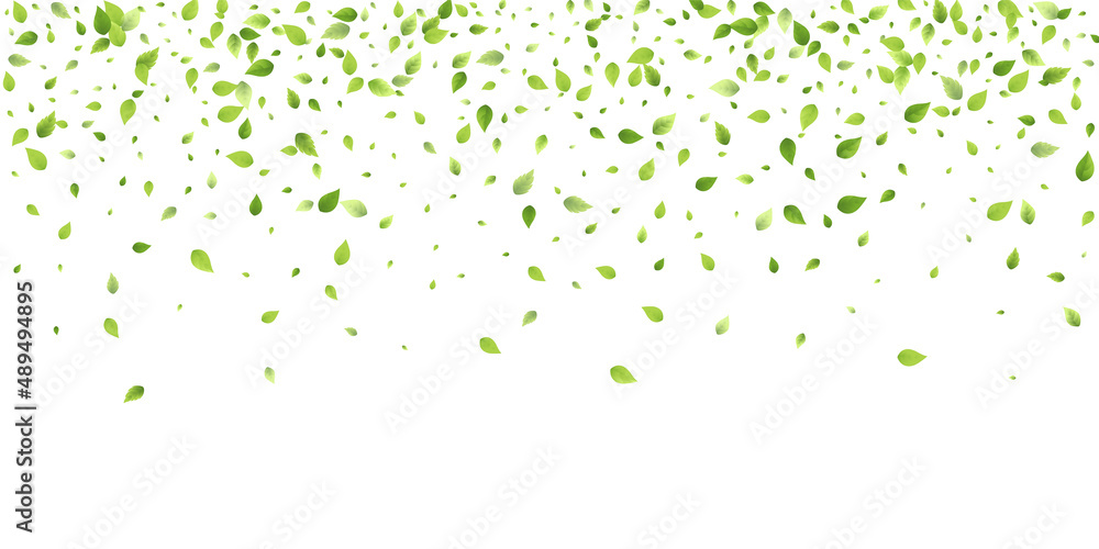 Leaves Green Falling Flying Foliage Leaf Tea Mint Leaves Green Falling Flying Foliage Leaf Tea Mint