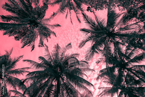 Abstract pattern coconut palm tree leaf background. Art nature pattern background or tropical summer beach holiday vacation traveling, save the earth concept.