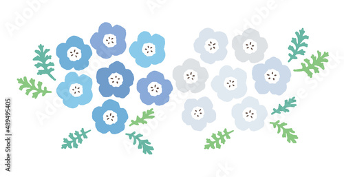 青と白のネモフィラ　シンプルでかわいい装飾イラスト　春の花