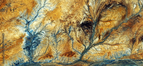 Forest in autumn, abstract photography of the deserts of Africa from the air. aerial view of desert landscapes, Genre: Abstract Naturalism, from the abstract to the figurative