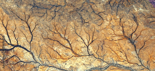 Forest in autumn  abstract photography of the deserts of Africa from the air. aerial view of desert landscapes  Genre  Abstract Naturalism  from the abstract to the figurative