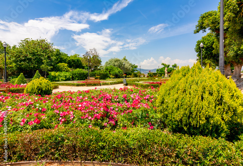 Photography Montjuic park landscape in Barcelona, Spain