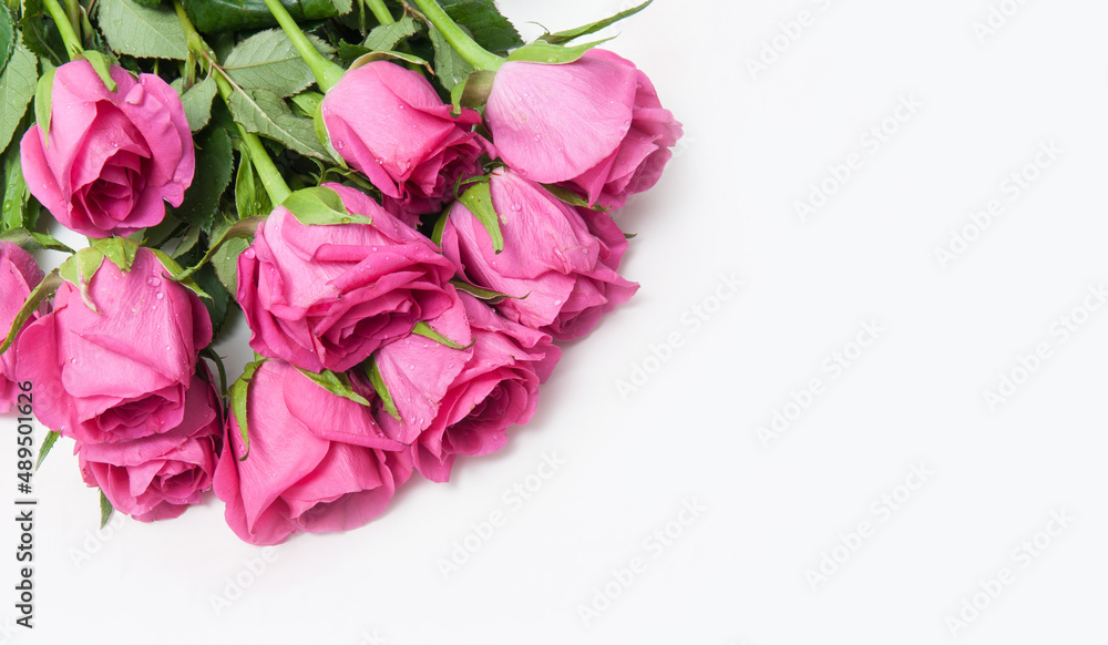 Fototapeta premium Bouquet of pink roses on a white background