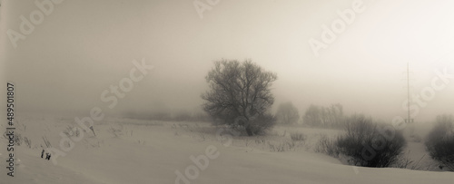 mist in the winter field