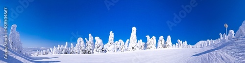 A slope through the snow monsters (soft rime) plateau. (Zao-onsen ski resort, Yamagata, Japan)