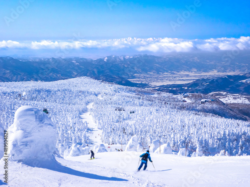 Skiing in a snow monsters (soft rime) plateau (Zao-onsen ski resort, Yamagata, Japan)