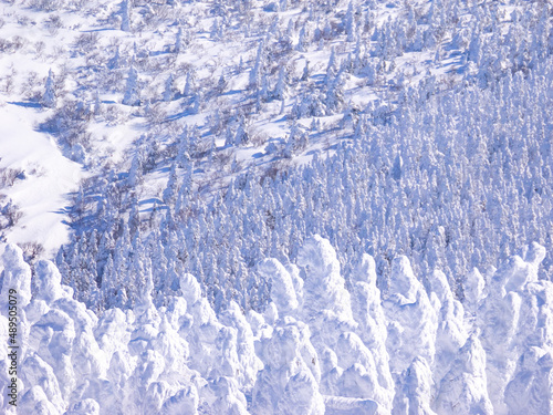 Snow monsters (soft rime) plateau. (Zao-onsen ski resort, Yamagata, Japan) photo