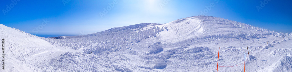The summit covered with snow monsters (soft rime). (Zao-onsen ski resort, Yamagata, Japan)