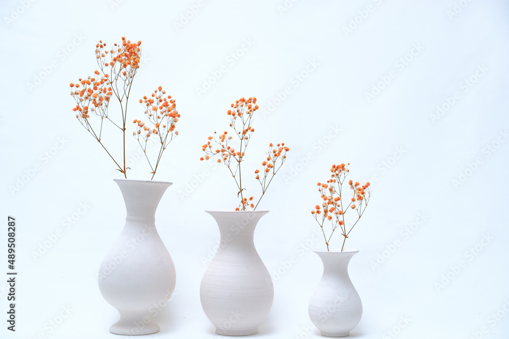 flowers in white vase on white background