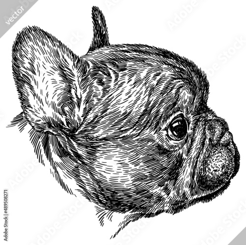 black and white engrave isolated bulldog vector illustration