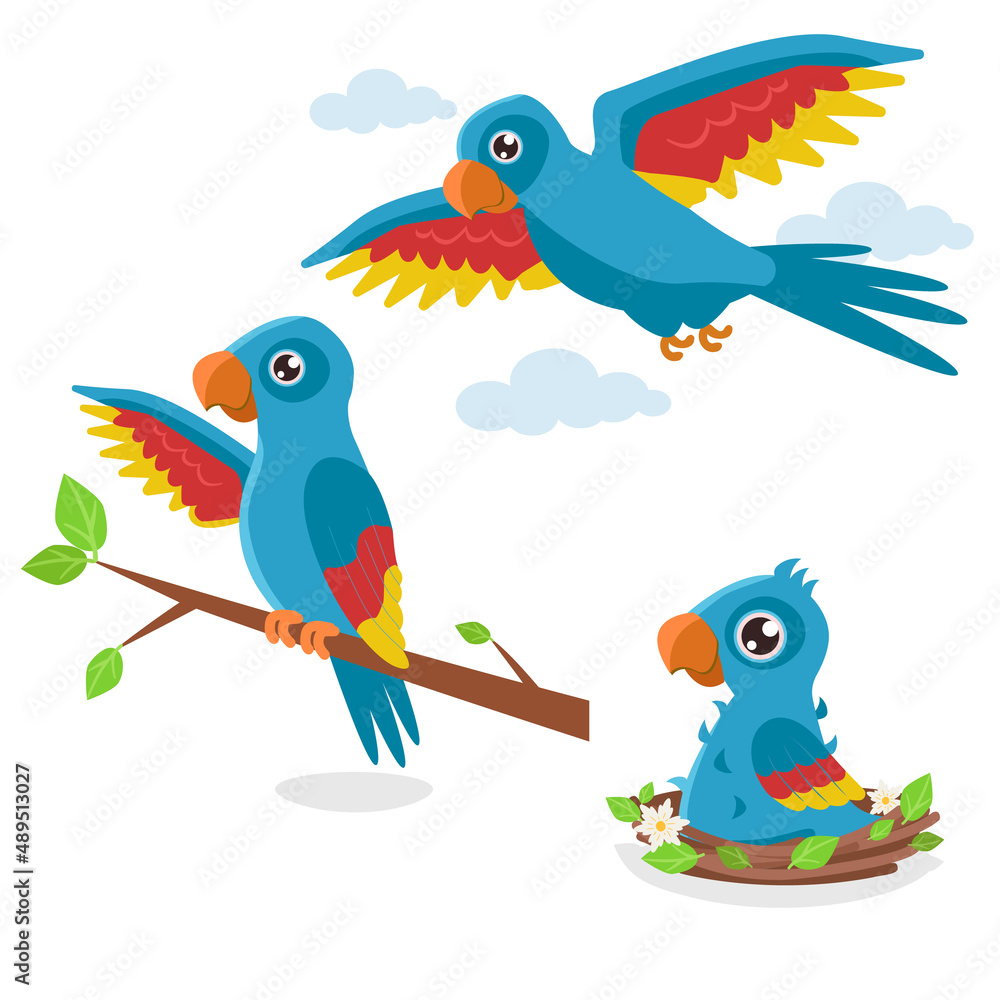 Obraz premium Set of illustrations in three phases: a chick in a nest, a young one on a branch and an adult flying blue parrot. Vector graphic.