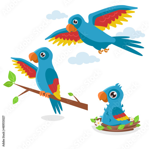 Set of illustrations in three phases: a chick in a nest, a young one on a branch and an adult flying blue parrot. Vector graphic. photo
