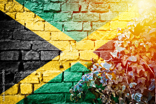 Jamaica grunge flag on brick wall with ivy plant sun haze view
