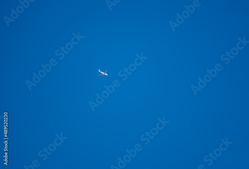 easyjet Airbus A320 twin engine white and orange jet airliner aeroplane in a clear deep blue sky 