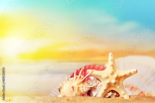 Fototapeta Naklejka Na Ścianę i Meble -  Seashells and starfish on seashore in tropical beach - summer holiday background
