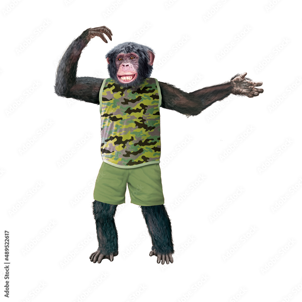 chimpanzé, habillé, armée, camouflage, attitude, uniforme, zoo, jardin zoologique, , mouvement, drôle personne, habit, gens, debout, pistolet, guerre, forcer, vert chimpanzé, habillé, armée, camouflage, attitude, uniforme, zoo, jardin zoologique, , mouvement, drôle personne, habit, gens, debout, pistolet, guerre, forcer, vert