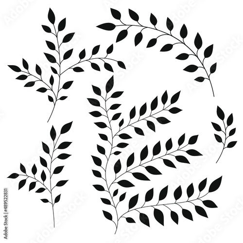 Branches with leaves set, vector illustration 
