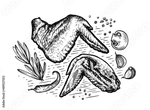 Delicious chicken wings in sketch style. Grilled food, barbecue meat vector illustration
