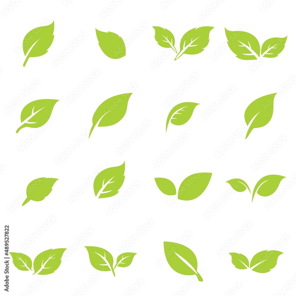 green leaf logo icon vector design and template green leaf logo icon vector design and template
