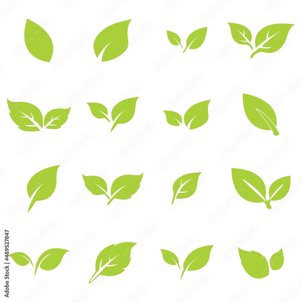green leaf logo icon vector design and template green leaf logo icon vector design and template