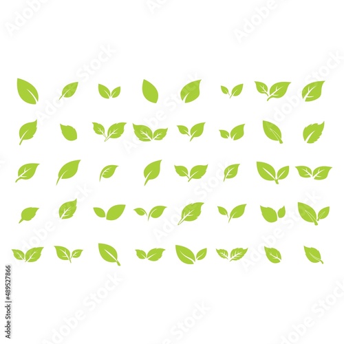 green leaf logo icon vector design and template