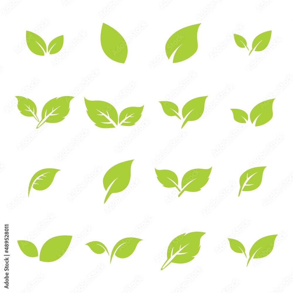 green leaf logo icon vector design and template green leaf logo icon vector design and template
