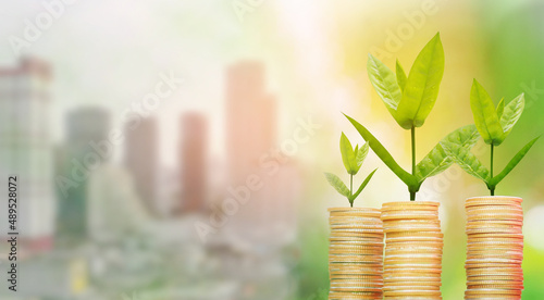 Tree growing on coin modern building background