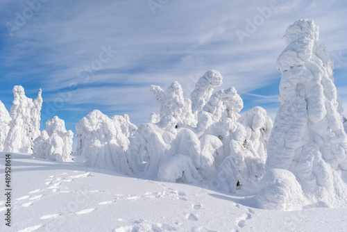 landscape with snow