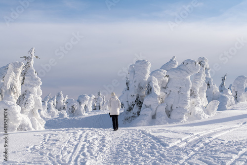 snow covered mountains