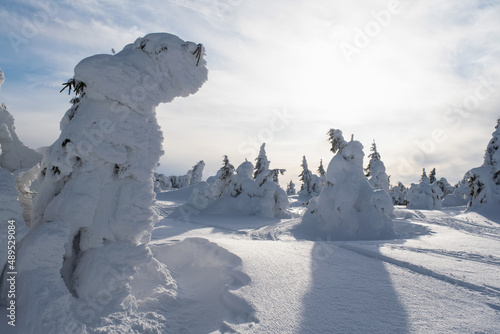snow covered mountains