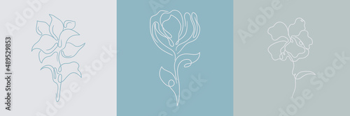 flowers creative illustration minimalist line art style