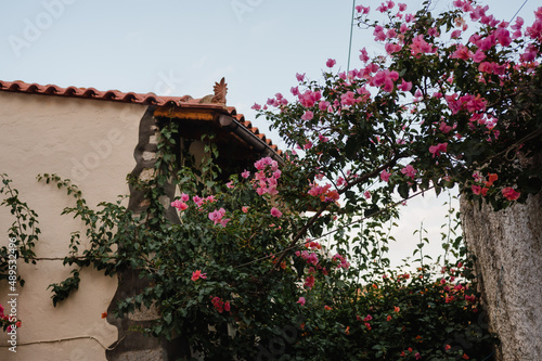 schöner floraler ausblick im Urlaub, Steinhaus, Reisen in Griechenland Kreta