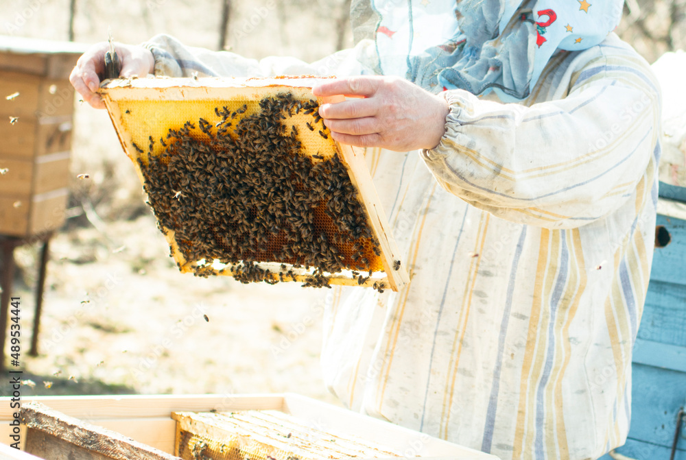 Work at the apiary. Breeding bees. Honey extraction. Work at the apiary. Breeding bees. Honey extraction.