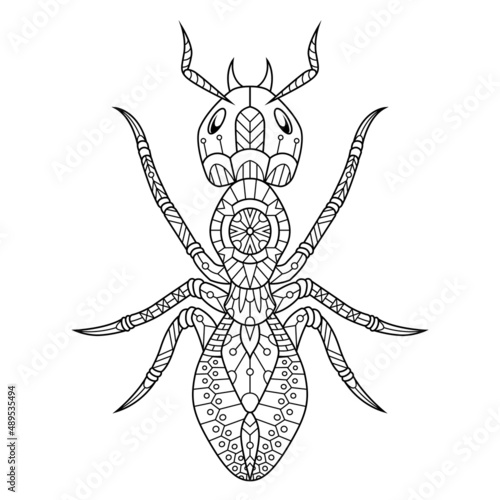 Ant mandala zentangle illustration in lineal style coloring book photo