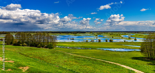 Poland. The Biebrza National Park. Overflow area of the Biebrza River draining its waters into the Narew River (in the right) photo