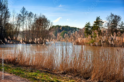 Idyllische Uferlandschaft am Rothsee im Fränkischen Seenland bei Roth, Allersberg photo